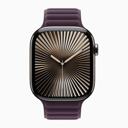 Apple Watch Series 10 42mm, Natural Titanium Case with Magnetic Link - Blackberry