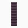 Apple Watch Series 10 42mm, Natural Titanium Case with Magnetic Link - Blackberry
